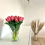 Apartman Dorfliebe *