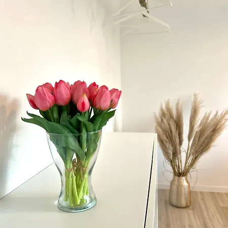 Apartman Dorfliebe *